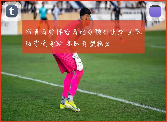 布鲁马对阵哈马比分预测出炉 主队防守受考验 客队有望抢分