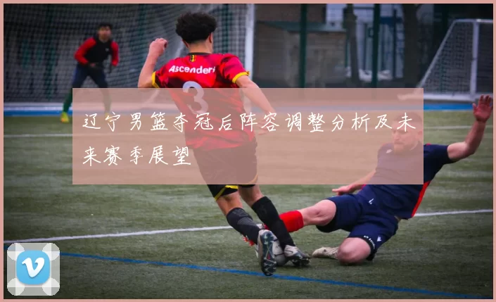 辽宁男篮夺冠后阵容调整分析及未来赛季展望