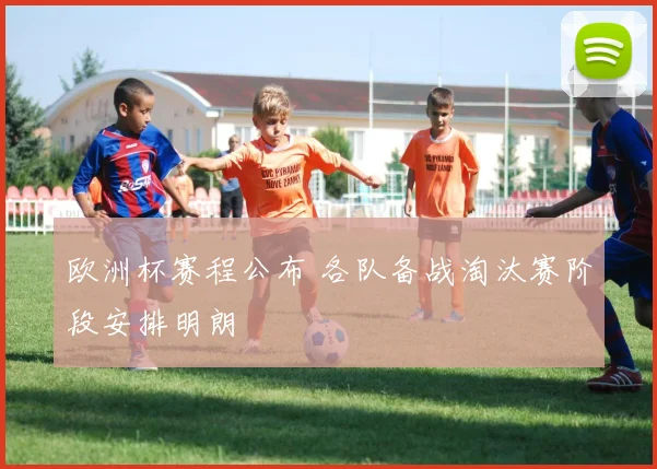 欧洲杯赛程公布 各队备战淘汰赛阶段安排明朗